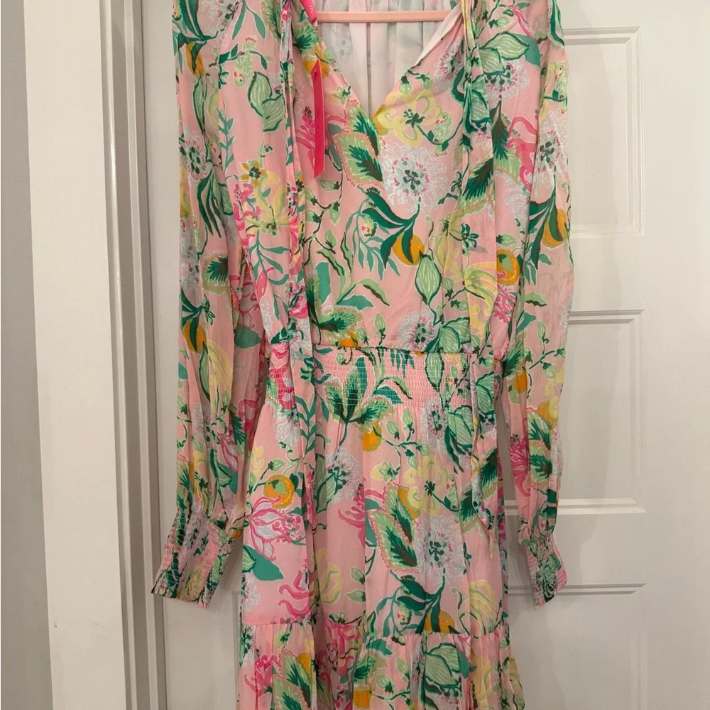 Lilly Pulitzer Ellielynn Dress - Picture 6 of 7